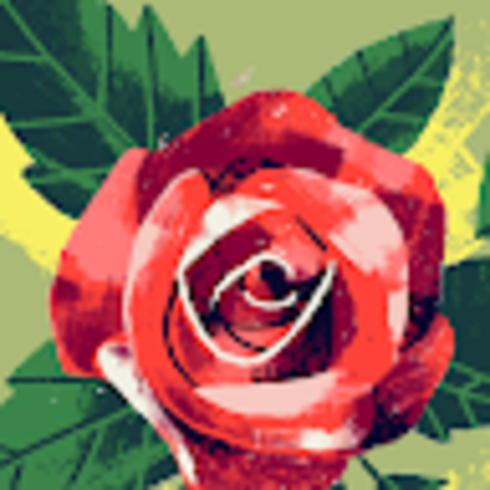 Meet your Posher, Kim